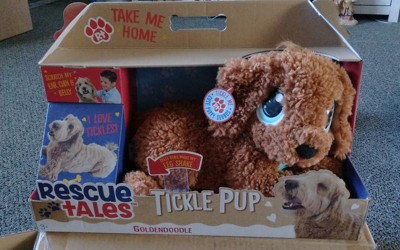 Rescue Tales Babies Bff – Corgi & Goldendoodle : Target