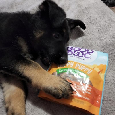 Wellness soft 2024 puppy bites review