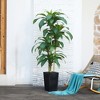 5-6ft UV & Sunproof Artificial Dracaena Tree for Indoor/Outdoor - Faux Silk Plant in Tall Planter, Tall Faux Tree for Home & Garden Decor - 4 of 4