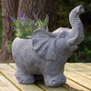 Northlight 16" Gray Standing Elephant Outdoor Garden Planter - 2 of 4