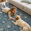 ABYNOW Area Rug Machine Washable, Non Slip, Boho Vintage Print for Living Room - 3 of 4