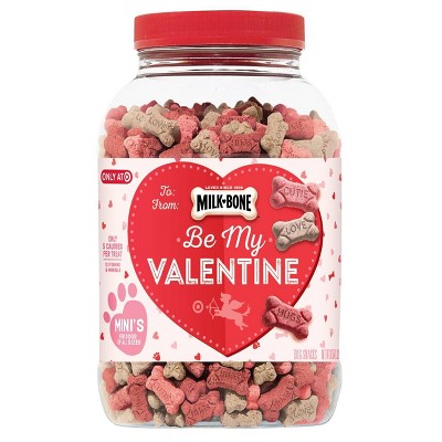 dog treat jar target