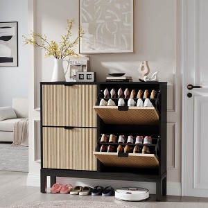 TruAIR 4-Drawer Shoe Cabinet - Narrow Freestanding Entryway Organizer with Metal Legs for Hallway/Foyer - 1 of 4