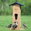 Nature's Way  Large Capacity Bamboo Bird Feeder with Removable Fresh Seed Tray, Windows, and Vinyl Coated Hanging Cables for Outdoor Birds - 2 of 4