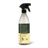 Lemon & Mint All Purpose Cleaner - 28 Fl Oz - Everspring™ : Target