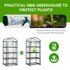 SEVOBAL Greenhouse Mini 4 Tier Green Houses Rolling Door Full Plant Grow Early Spring Seed Germination Indoor Growing Outdoor, Clear, 72"*48.5"*8.5" - 4 of 4