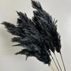 Alilang Decorative Dried Tall Grass Stems for Home Decoration and Floral Arrangements, 27.5 Inches - 2 of 4