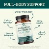 High Absorption Potassium Magnesium Supplement Capsule, High Strength Electrolyte Balance for Heart Health & Muscle Support, Nobi Nutrition, 90ct - 2 of 4