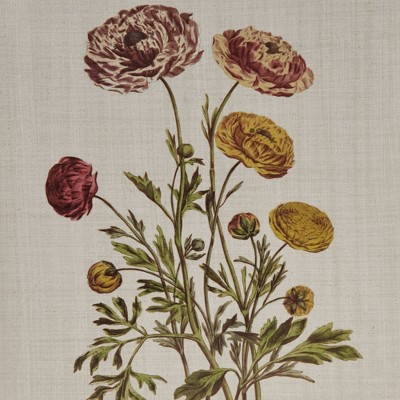 Herbal Botany 4-Piece Framed Canvas Wall Art Set with Botanical Illustrations