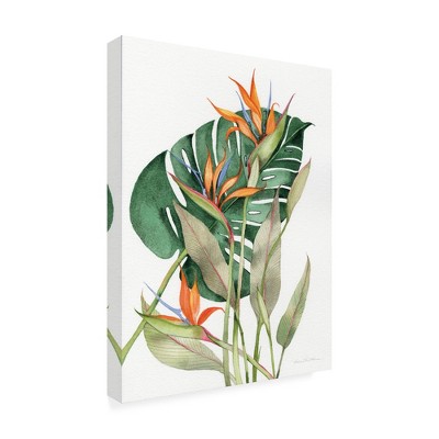 Trademark Fine Art -Kathleen Parr McKenna 'Botanical Birds of Paradise' Canvas Art