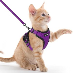 rabbitgoo Cat Harness and Leash for Walking, Escape Proof Soft Adjustable Vest Harnesses for Cats, Easy Control Breathable  Jacket, Purple, XXS - 1 of 1