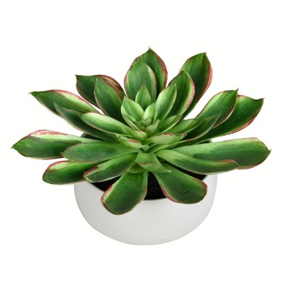 Vickerman 10" Artificial Potted Green Succulent.