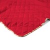 NCAA Louisiana Ragin' Cajuns 60 x 80 Quilted Throw Blanket - 3 of 4