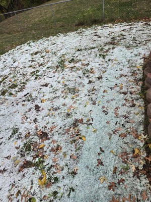 Guest review image 2 of 5, zoom in