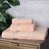 Premium Cotton Absorbent Luxury Weight Set by Blue Nile Mills - 2 of 4