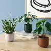 Monstera Artificial Plant - Room Essentials™ - 2 of 4