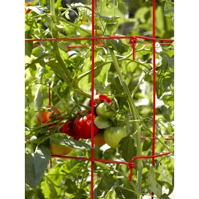32-Inch Red Powder-Coated Steel Tomato Cage