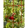 Square Tomato Cage, Single - 2 of 4