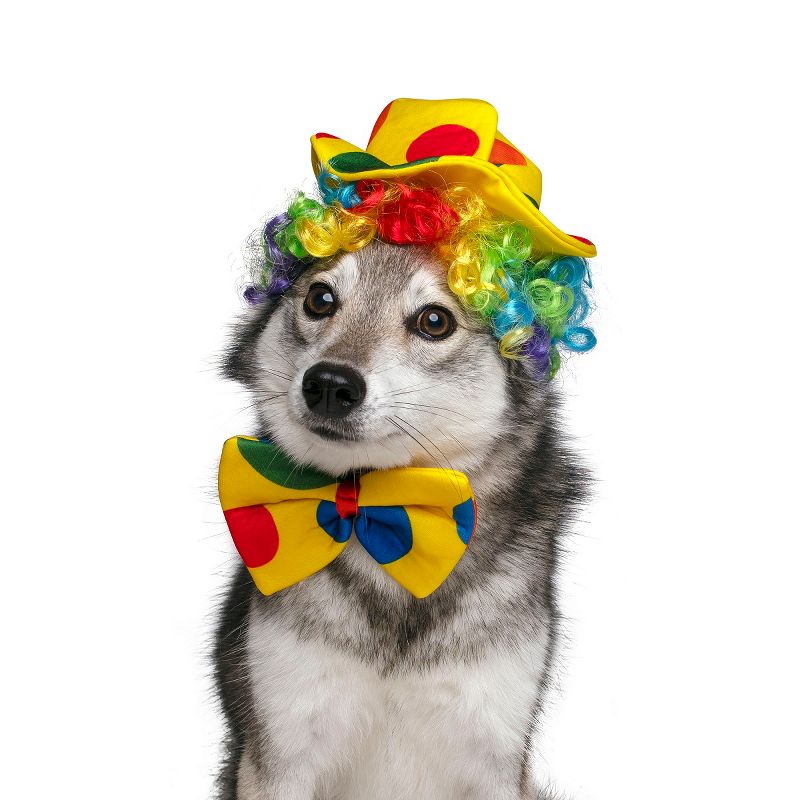 Midlee Clown Dog Costume Hat Wig & Bowtie, 3 of 10