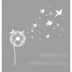 Condolence book to sign (Hardback cover) - by  Lulu and Bell (Hardcover) - 1 of 1