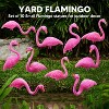 Joyfy 10 Pack Small Yard Flamingo Decor Set, Mini Pink Flamingo Yard Decorations for Sidewalks, Outdoor Garden, Luau Party Gift, Tropical Party Decor - 4 of 4
