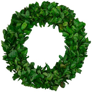 Northlight Preserved Leaf Spring Garden Wreath - 20" - Unlit - 1 of 4