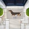 Stupell Industries So Long Dog Goodbye Printed Outdoor Imitation Sisal Door Mat, design by Lil' Rue - 3 of 4