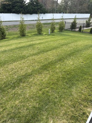 Guest review image 2 of 3, zoom in