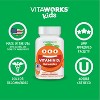 VitaWorks Vitamin D 1000 IU - Chewables - 120 ct. - 3 of 4