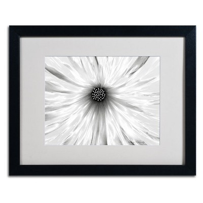 Trademark Fine Art -Kathie McCurdy 'White Garden' Matted Framed Art