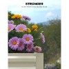 Rectangular Raised Garden Bed (2-Pack) Ergonomic Steel Planters,Healthy, Stress-Free Planting for Patios, Balconies & Small Spaces - 4 of 4