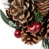Northlight Mixed Foliage Frosted Pinecone and Berry Christmas Ball Ornament - 6" - 3 of 4