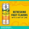 Topo Chico Aguas Frescas Hard Seltzer VP - 12pk/12 fl oz Cans - 3 of 4