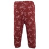 Hudson Baby Infant Girls Cotton Bodysuit, Pant and Shoe Set, Sweetheart Bows - 4 of 4