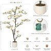 Faux Southern Magnolia Plant Yellow Flowered Magnolia, Artificial Magnolia Tree Inc. Realist Touch Flowers Vivid Leaves White Pot Dry Moss - 2 of 4