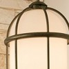 Kichler Lighting Topiary 1 - Light Pendant in  Character Bronze - 3 of 4