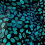 teal abstract dot