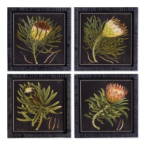 Plum & Post Protea Petite Prints, Set Of 4 - 1 of 4