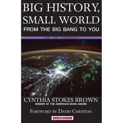 Big History, Small World - 10th Edition by  Cynthia Stokes Brown (Paperback)