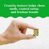Greenies Catnip Flavor Dental Cat Treats - 3 of 4