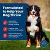 Blue Buffalo Adult Dry Dog Food with Beef Flavor - 24lbs - 4 of 4