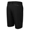 Snake Eyes Golf Performance Stretch Short - 2 of 2