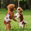 Unique Bargains Dog Diapers for Female Dog Period Washable Reusable with Adjustable Suspender - 3 of 4