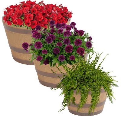 Sunnydaze Modern Decorative Indoor/Outdoor Resin Rustic Cask Outdoor Planter - 13", 15" and 17" Diameter - 3-Piece Set