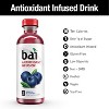 Bai Brasilia Blueberry, Antioxidant Infused Beverage, 18 Fl Oz (Pack of 12) - 3 of 3