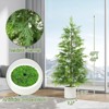 Compact Artificial Cedar Topiary Trees ¨C 2 Pack Faux Evergreen in White Pots ¨C UV Resistant Decorative Potted Pine - 2 of 4