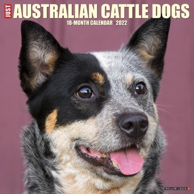 2022 Wall Calendar Just Australian Cattle Dogs - Willow Creek Press