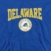 Men's University of Delaware Collegiate Seal Pull-Over Hoodie - 2 of 4