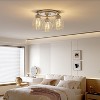 Tribesigns 3-Lights Ceiling Lamp with E26 Base, Modern Sand Nickel Ceiling Light Fixture with Clear Bubble Glass Silver - 4 of 4