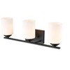 Millennium Lighting Durham 3 - Light Vanity in  Matte Black - 2 of 2